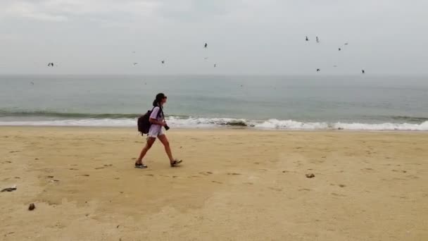 Una Ragazza Cammina Lungo Una Spiaggia Selvaggia Vicino Mare Sullo — Video Stock