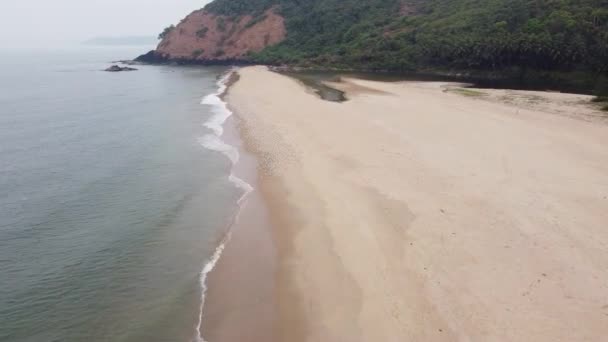 갈매기 해변에서 바다를 로터에게 날아간다 질높은 Fullhd — 비디오