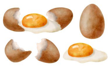 Watercolor eggs set. Hand drawn brown egg, broken egg with yolk and glair and eggshell illustrations isolated on white background. Cooking and baking natural organic eco ingredient
