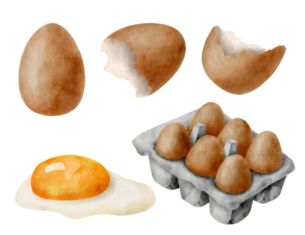 Aquarel Eieren Met Hand Getekend Bruin Eigeel Glair Eierschaal Verpakking — Stockfoto