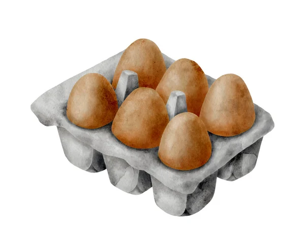 Karton Resimli Suluboya Yumurtalar Çizimi Kahverengi Yumurtalar Beyaz Arka Planda — Stok fotoğraf