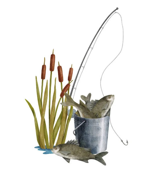水彩画の釣りイラスト 白い背景に隔離された魚の手描き釣竿 葦の植物や金属バケツ 淡水魚の大きなキャッチ 趣味構成の天使化 — ストック写真