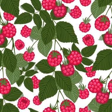 Ahududu vektörü kusursuz desen. Beyaz yapraklı tatlı kırmızı orman meyveleri ve dalları. Botanik geçmişi. El çizimi şirin karikatür organik, sağlıklı meyve çizimi