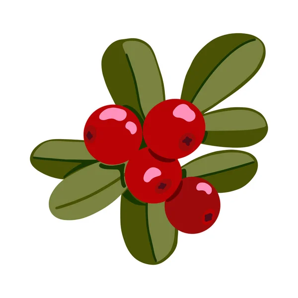 Ilustração Vetorial Lingonberry Cowberry Com Folhas Isoladas Fundo Branco Bagas — Vetor de Stock