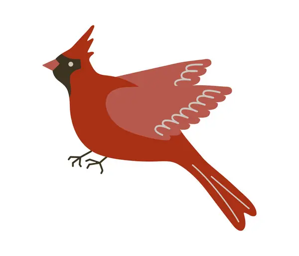 红心鸟矢量图解 坐在北方的红衣雀上 背景是白色的 很可爱 冬季林鸟 圣诞节和精神象征动物 — 图库矢量图片