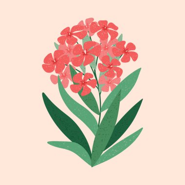 Oleander çiçek vektör illüstrasyonu. Elle çizilmiş pembe Neryum çiçeği ve kremalı arka planda yapraklar. Modern desenli çiçek tasarımı. Zehirli bitki. Kart ve tekstil için botanik çizimi