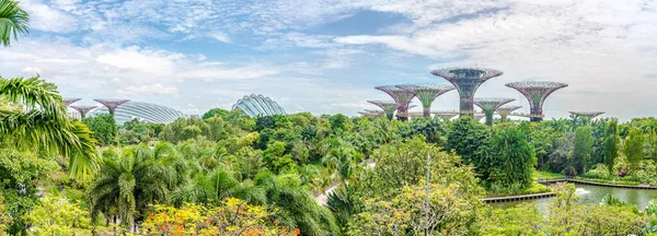 新加坡湾边的花园之花全景 — 图库照片
