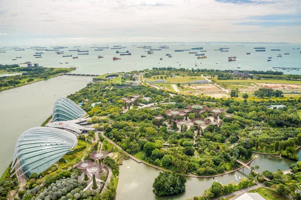 シンガポールの湾の庭園のスカイラインビュー ストックフォト
