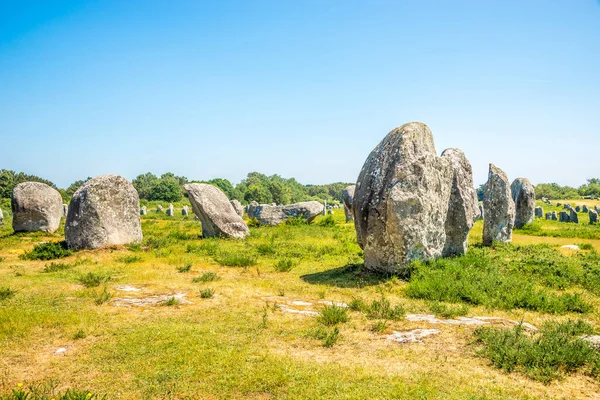 Carnac石是法国西北部布列塔尼南部海岸附近一个非常密集的巨型岩石群 — 图库照片