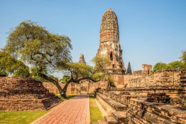 Tayland 'da Ayutthaya sokaklarındaki Phra Ram Wat harabelerine bakın.