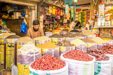 LAHORE, PAKISTAN - 14 Şubat 2025 - Lahor 'un sarmaşıklarındaki çorbaya bakın. Lahor, Pakistan 'ın Pencap ilinin başkenti ve en büyük şehridir..