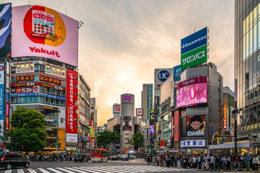 TOKYO, JAPONYA - 6 Mayıs 2025 - Tokyo sokaklarındaki Shibuya Kavşağı 'nda akşam manzarası. Tokyo Japonya 'nın başkentidir..