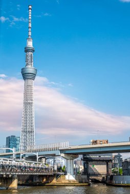 TOKYO, JAPONYA - 5 Mayıs 2025 - Tokyo sokaklarındaki Sukai Curi Skytree kulesine bakın. Tokyo Japonya 'nın başkentidir..
