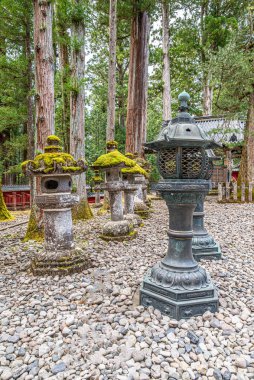 Nikko Ormanı 'nda - Japonya