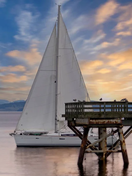 Barca Vela Naviga Oltre Molo Pesca Durante Alba Sidney — Foto Stock