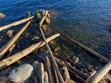 Driftwood and rocks at the spectacular ocean shore of Sidney BC