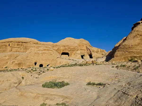 Scenic Road Entrance Ancient City Petra Jordan One Seven Wonders — стоковое фото