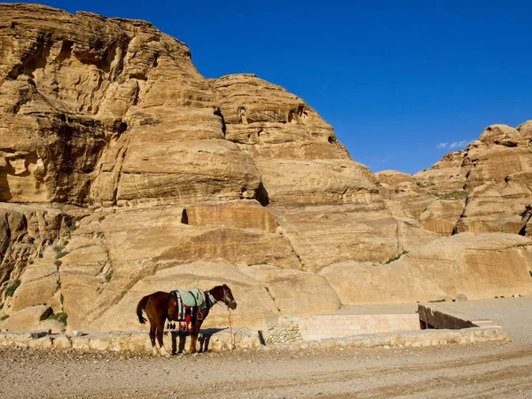 Estrada Cênica Para Entrada Cidade Antiga Petra Jordânia Uma Das — Fotografia de Stock