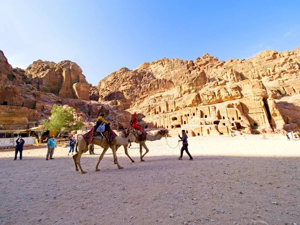 Petra Jordan 2023 Március Turisták Lovaglás Tevék Ókori Város Petra — Stock Fotó