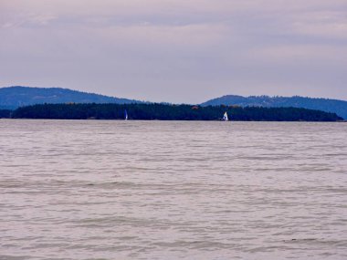 Vancouver Adası, British Columbia 'daki Island View Sahili' nde kayalıklar ve odun sürükleme