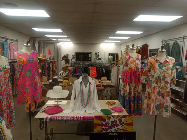 Auckland bölgesinde bir gece butiğinin vitrininde.