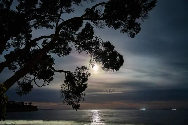 Ay ışığında gece denizi