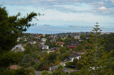 Browns Körfezi yerleşim alanı manzarası, Auckland, Yeni Zelanda