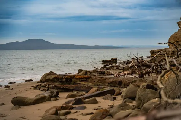 Browns Bay Sahil Koruma Auckland, Rangitoto Adası manzaralı.