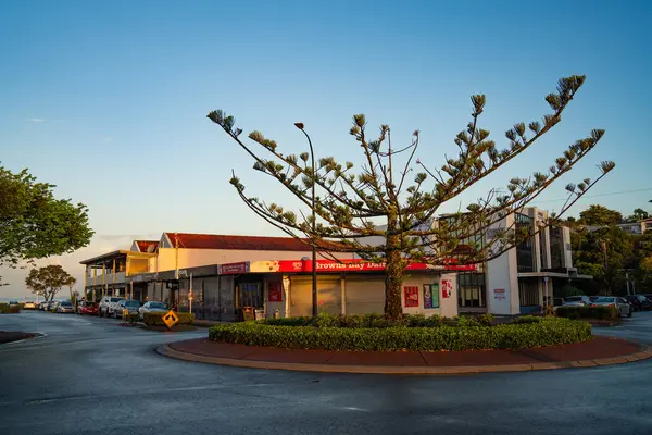 Browns Bay, Auckland, Yeni Zelanda 'nın merkez caddesinde Norfolk Çam Ağacı