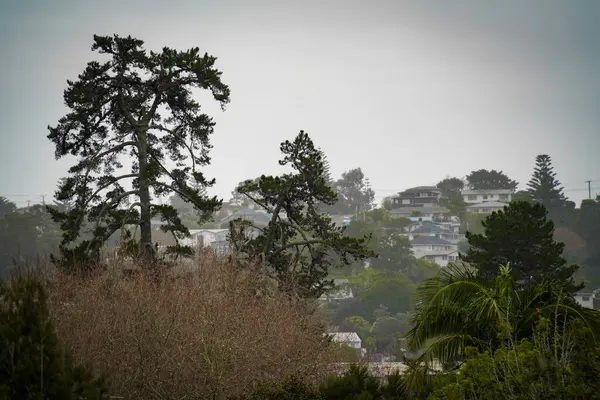 Browns Körfezi Bölgesi, Auckland, Yeni Zelanda 'daki yeşil yerleşim alanları