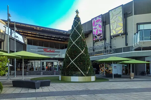 Albany bölgesinin yeni yıl ağacı, Auckland.