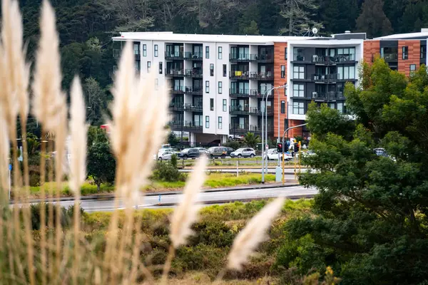 Albany bölgesi, Auckland, Yeni Zelanda Albany Gölleri Parkı 'nın yeşilliği boyunca.