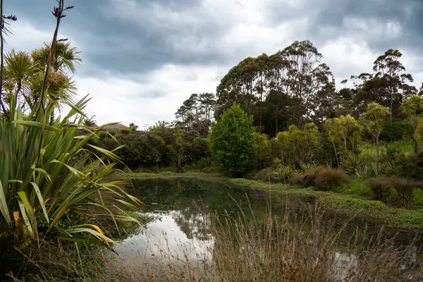 Yeni Zelanda keteniyle Auckland 'ın yerleşim bölgesi Albany' de şehir gölü