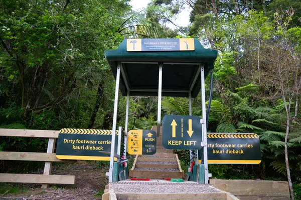 Kauri Ormanı 'nın girişinde ayakkabı temizleme yeri Gills Sahne Koruma Alanı, Auckland, Yeni Zelanda