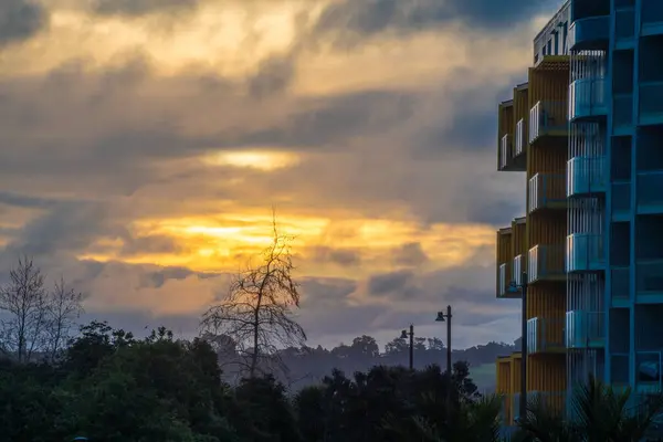 Albany Park 'ın silueti, Auckland' ın arka planında günbatımı