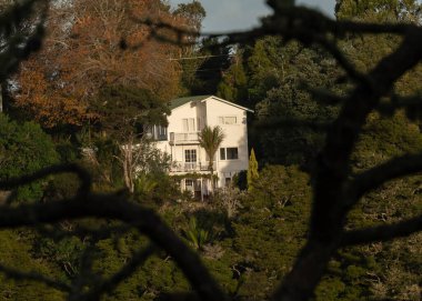 Titirangi Ormanı 'nda, Auckland' da ağaçların arasından görünen güneşli bir ev.