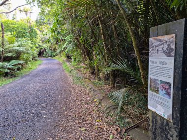 Eski tarihi boru hattı sokağı Titirangi bölgesi, Auckland