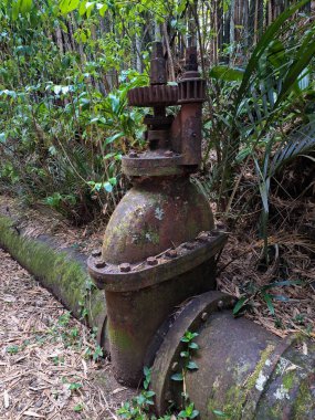 Titirangi, Auckland 'daki tarihi Boru Hattı Sokağı' ndaki su borusu.