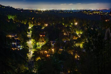 Titirangi, Auckland 'ın ormanla kaplı gece hayatı alanları.,
