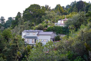 Yeni Zelanda 'nın ortasındaki ev. Evergreen Ormanı. Dr. Titirangi, Auckland.