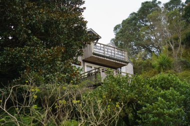 Birkenhead, Auckland 'ın yeşil koylarında evler