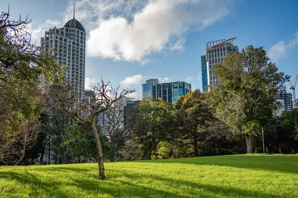 Auckland 'ın yeşil şehrinin modern yapıları, Albert Park' ta görüldüğü gibi.