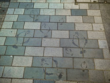 Gore caddesinin kaldırım taşlarına kazınmış balıklar.