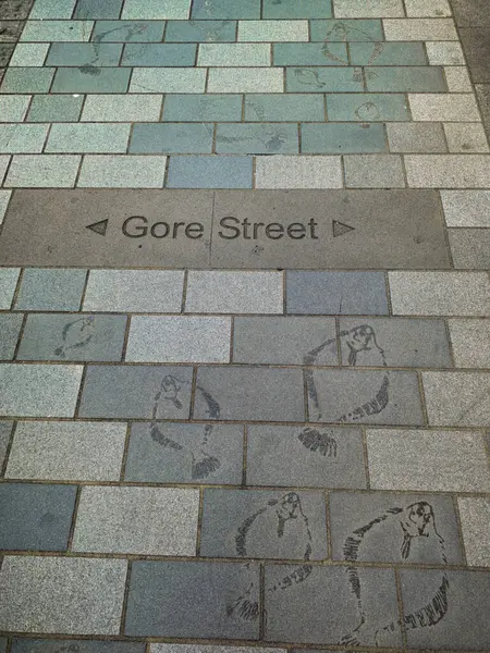 Gore caddesinin kaldırım taşlarına kazınmış balıklar.