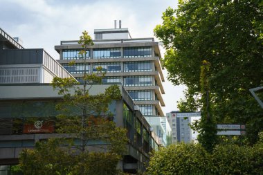 Auckland Üniversitesi 'nin yüksek binaları parkın yeşilliği tarafından çerçevelenmiştir.