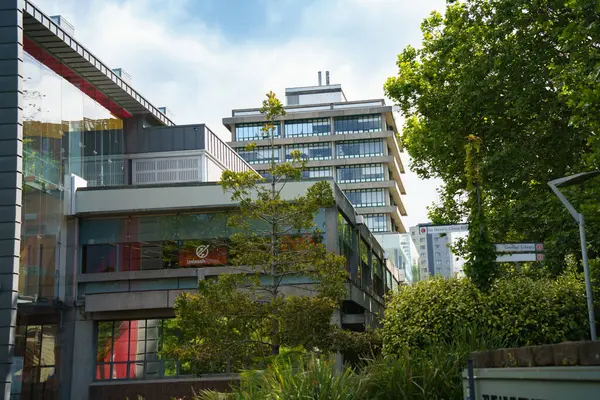 Auckland Üniversitesi 'nin yüksek binaları parkın yeşilliği tarafından çerçevelenmiştir.