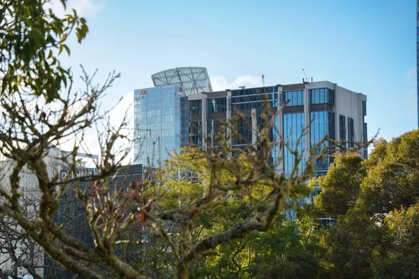 Auckland 'ın iş bölgesinin gökdelenleri, Albert Park' ın manzarası.