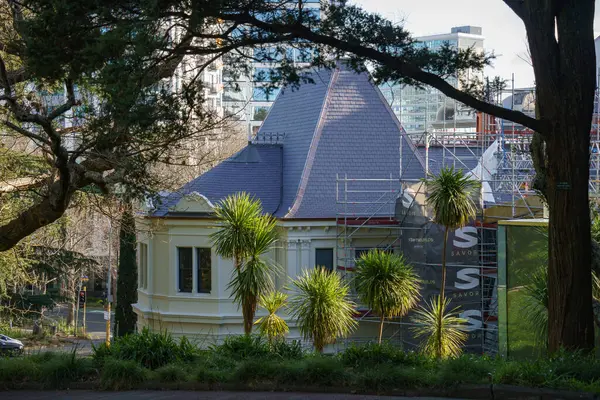 Albert Park 'tan Auckland Sanat Galerisi' nin arka manzarası