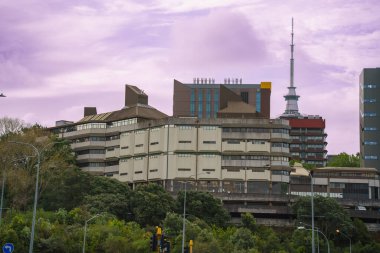 Auckland Üniversitesi binaları, şehir gökdelenleri ve Domain Park 'tan Auckland Kulesi