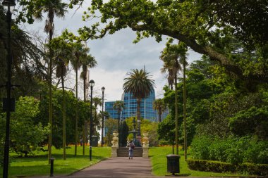 Albert Park 'ın patikalarında ağaç gövdeleri tarafından çerçevelenmiş palmiye ağaçları olan heykeller.